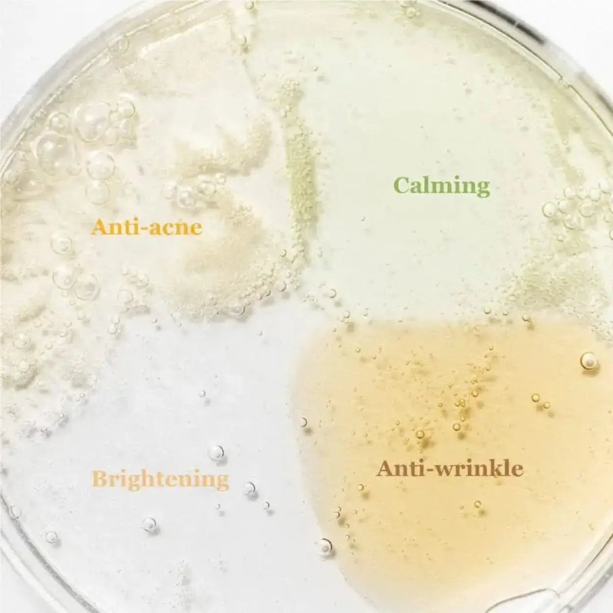 Hanbang Serum Discovery Kit Beauty of Joseon sérum coreano chá verde acalmar pele sensível skincare Portugal