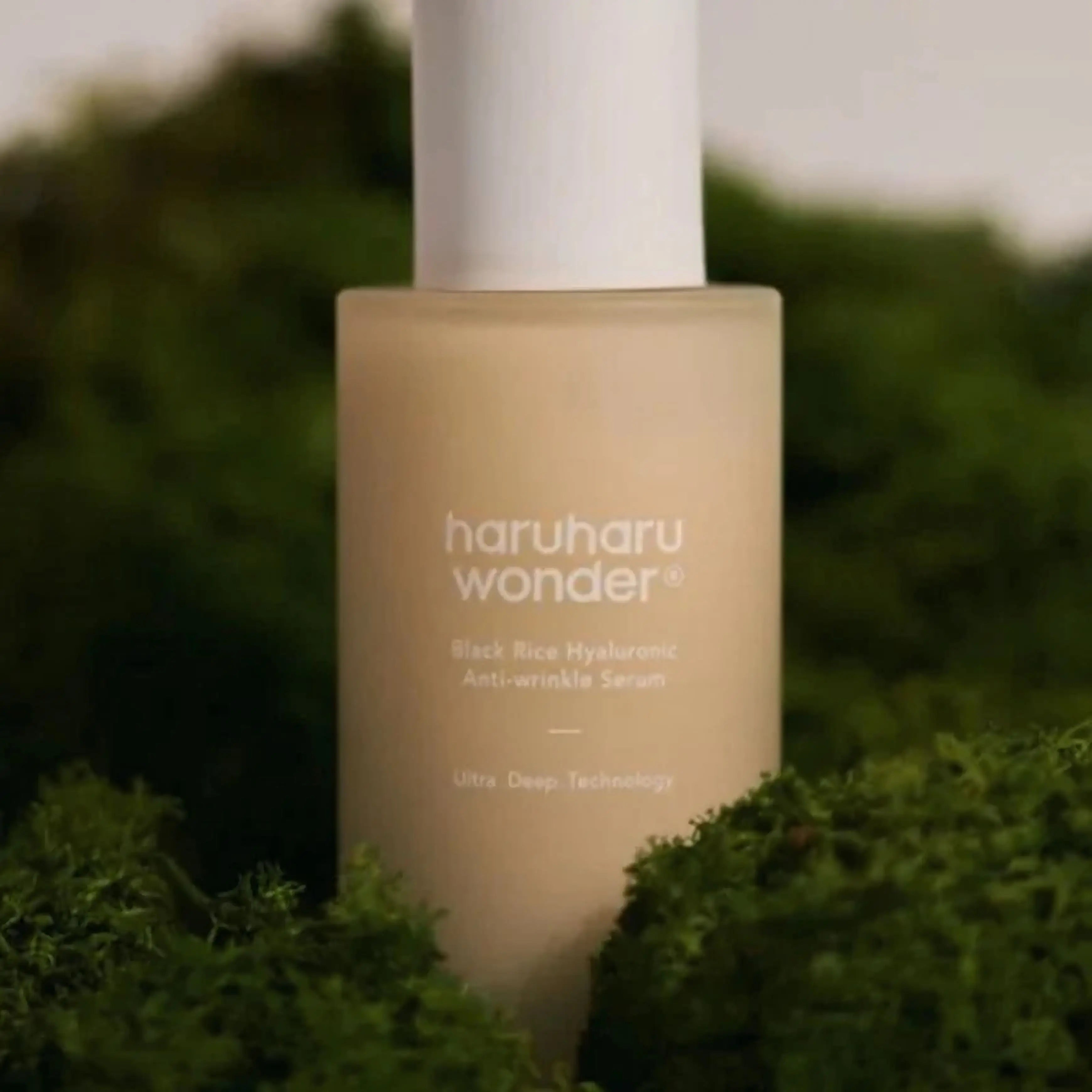 Black Rice Hyaluronic Anti-Wrinkle Serum da Haruharu Wonder sérum coreano arroz preto hidratação cosmética coreana Portugal